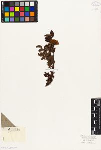 SW_BNB_s3010-08525_IMG-0000000001
