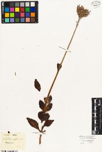 SW_BNB_s3010-08530_IMG-0000000001
