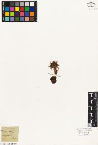SW_BNB_s3010-08554_IMG-0000000001