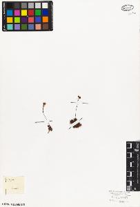 SW_BNB_s3010-08556_IMG-0000000001