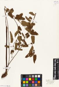 SW_BNB_s3010-08558_IMG-0000000001