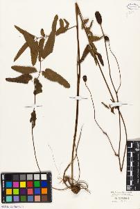 SW_BNB_s3010-08561_IMG-0000000001