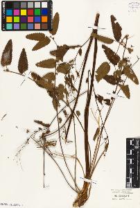SW_BNB_s3010-08566_IMG-0000000001
