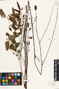 SW_BNB_s3010-08568_IMG-0000000001