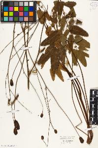 SW_BNB_s3010-08570_IMG-0000000001