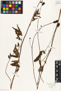 SW_BNB_s3010-08575_IMG-0000000001