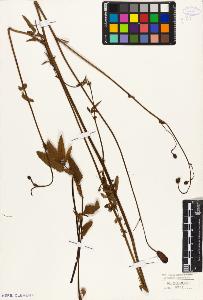SW_BNB_s3010-08586_IMG-0000000001