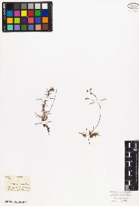 SW_BNB_s3010-08589_IMG-0000000001