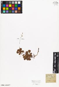 SW_BNB_s3010-08590_IMG-0000000001