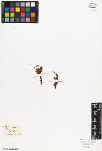 SW_BNB_s3010-08591_IMG-0000000001