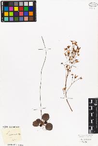 SW_BNB_s3010-08593_IMG-0000000001