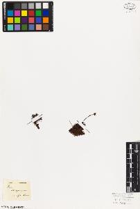 SW_BNB_s3010-08595_IMG-0000000001