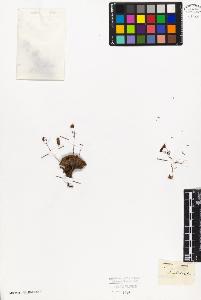SW_BNB_s3010-08596_IMG-0000000001