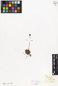 SW_BNB_s3010-08597_IMG-0000000001