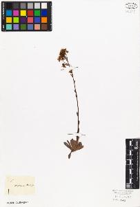 SW_BNB_s3010-08602_IMG-0000000001