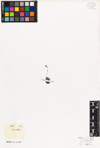 SW_BNB_s3010-08603_IMG-0000000001