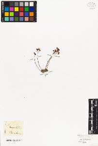 SW_BNB_s3010-08604_IMG-0000000001