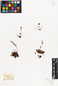 SW_BNB_s3010-08609_IMG-0000000001