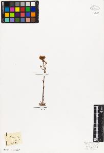 SW_BNB_s3010-08613_IMG-0000000001