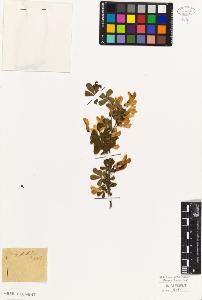SW_BNB_s3010-08614_IMG-0000000001