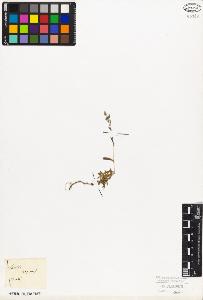 SW_BNB_s3010-08615_IMG-0000000001
