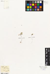 SW_BNB_s3010-08617_IMG-0000000001