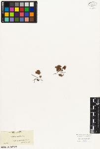 SW_BNB_s3010-08618_IMG-0000000001