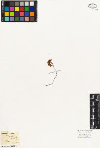 SW_BNB_s3010-08619_IMG-0000000001