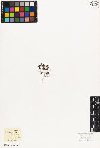 SW_BNB_s3010-08622_IMG-0000000001