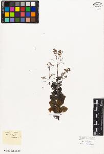 SW_BNB_s3010-08625_IMG-0000000001