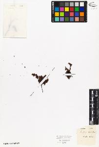 SW_BNB_s3010-08629_IMG-0000000001