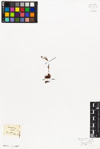 SW_BNB_s3010-08631_IMG-0000000001