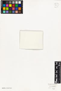 SW_BNB_s3010-08635_IMG-0000000001