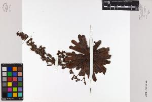 SW_BNB_s3010-08637_IMG-0000000001