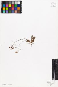 SW_BNB_s3010-08639_IMG-0000000001