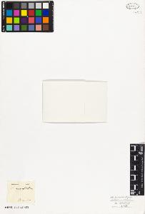 SW_BNB_s3010-08642_IMG-0000000001