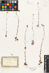 SW_BNB_s3010-08644_IMG-0000000001