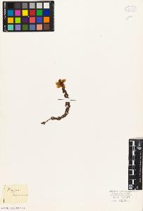 SW_BNB_s3010-08647_IMG-0000000001