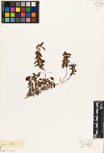SW_BNB_s3010-08651_IMG-0000000001
