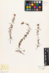 SW_BNB_s3010-08654_IMG-0000000001