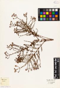 SW_BNB_s3010-08655_IMG-0000000001