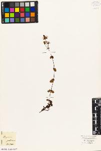 SW_BNB_s3010-08665_IMG-0000000001
