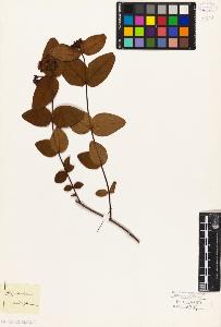 SW_BNB_s3010-08666_IMG-0000000001