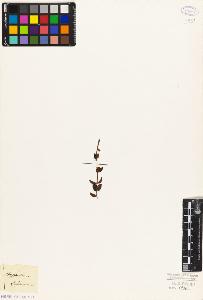 SW_BNB_s3010-08671_IMG-0000000001