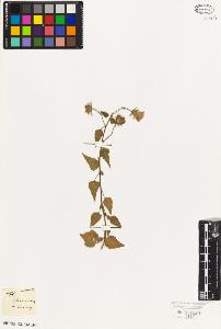 SW_BNB_s3010-08679_IMG-0000000001