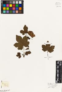 SW_BNB_s3010-08693_IMG-0000000001