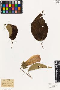 SW_BNB_s3010-08701_IMG-0000000001
