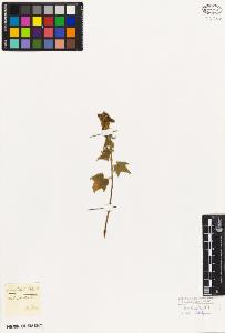 SW_BNB_s3010-08706_IMG-0000000001