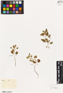 SW_BNB_s3010-08709_IMG-0000000001