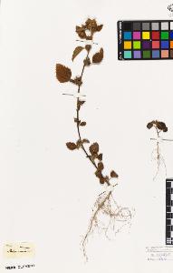 SW_BNB_s3010-08710_IMG-0000000001